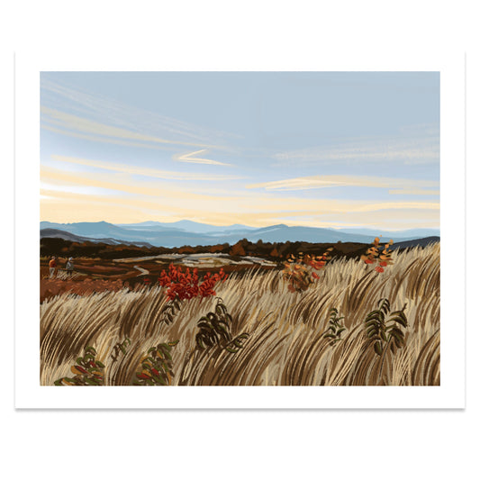 Eaton, New Hampshire Print