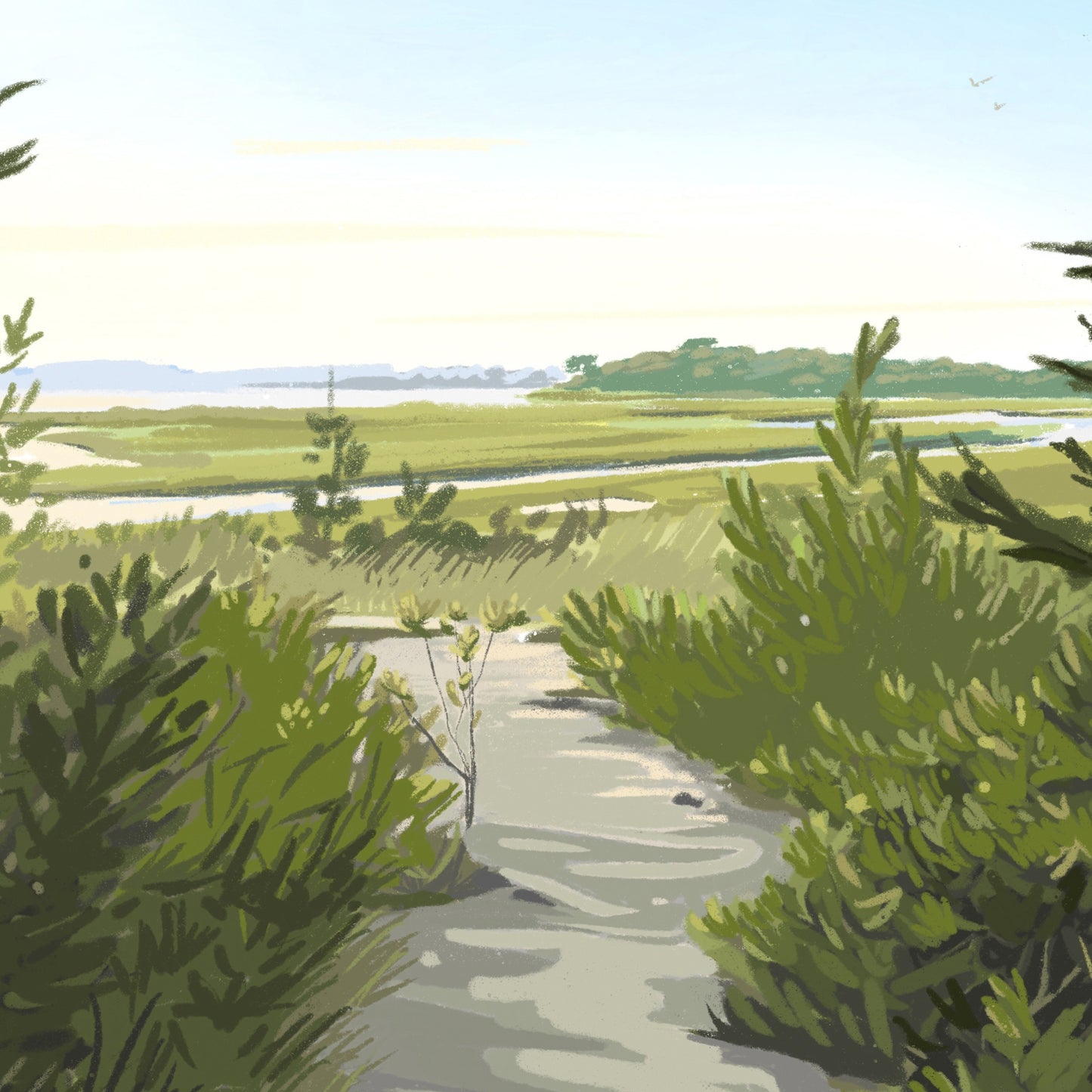 South Cape Beach, Massachusetts Print