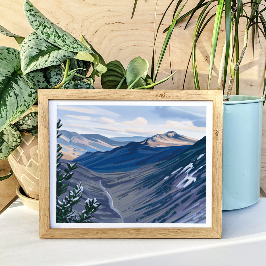 Grafton Notch State Park, Maine Print