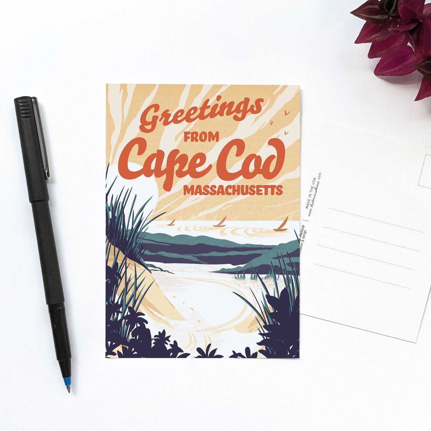 Cape Cod, Massachusetts Postcard