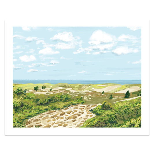 Plum Island, Massachusetts Print