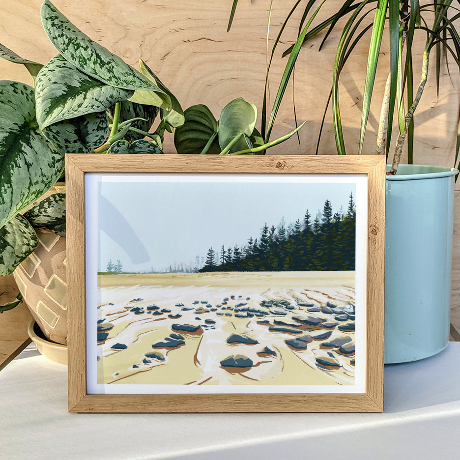 Acadia National Park (Sand Beach), Maine Print