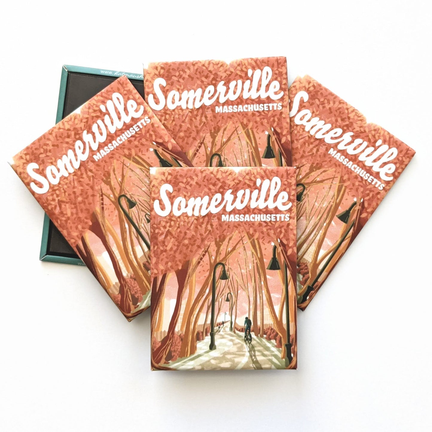 Somerville, Massachusetts Magnet