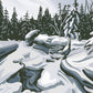Bretton Woods, New Hampshire Print