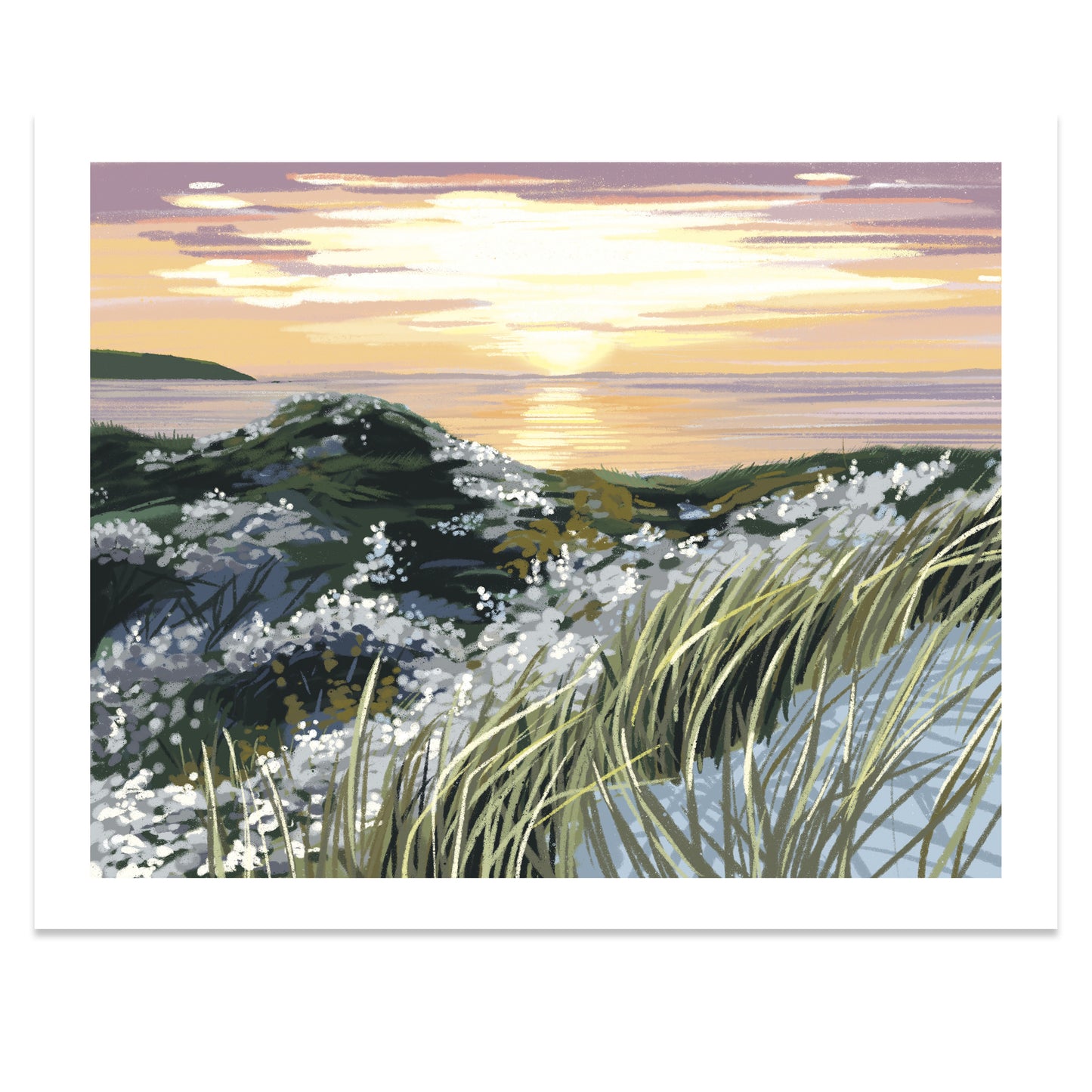 Lambert's Cove, Massachusetts Print