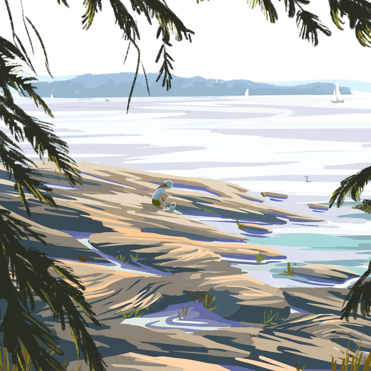 Coastal Maine Print