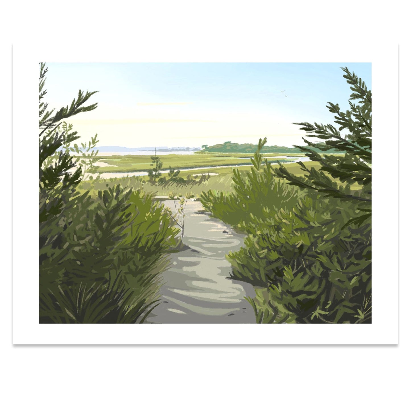 South Cape Beach, Massachusetts Print