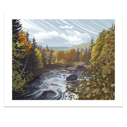 Zealand River, New Hampshire Print