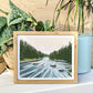 Allagash River, Maine Print